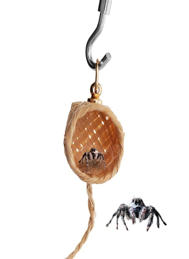 DQITJ 1 Pack Jumping Spider Hide Jumping Spider Enclosure Accessories with Magnet and Climbing Rope Spider House - Image 1